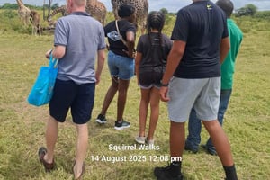 Mombasa: Fort Jesus, Old Town & Wildlife Guided Tour