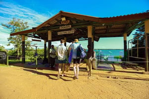 Mombasa: Wasinin saaren dhow-risteily, jossa on lounas ja snorklaus