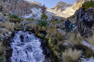 Mount Kenya: 4-tägige geführte Wanderung zum Point Lenana