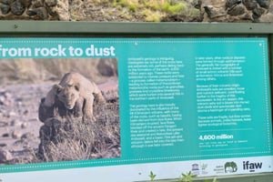 Nairobi: 2-dagers safari i Amboseli nasjonalpark