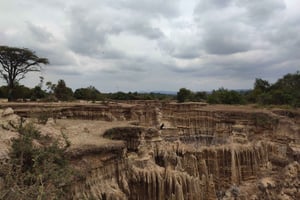 Nairobi: 5-dagers eventyrlig lederopplevelse