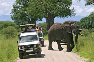 Nairobi: Safari di 5 giorni nel Parco Nazionale Amboseli e Tsavo West