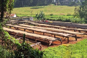 Экскурсия по кофейной ферме и фабрике Найроби