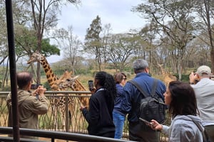 Найроби:David Sheldrick Elephant Orphanage & Giraffe Center