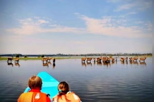 Nairobi: wycieczka 1-dniowa do Parku Hell's Gate i nad jezioro Naivasha