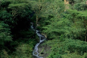 Nairobi: Hells Gate nationalpark och Lake Naivasha Tour