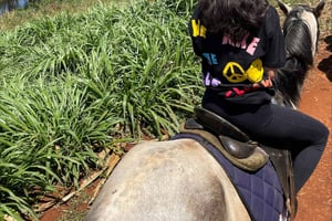 Nairobi: Ridetur gjennom maisplantasjen