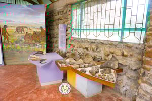 Nairobi: Kariandusi & Hyrax Hill – prähistorische Tagestour