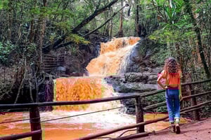 Nairobi: Fra Nairobi-Karura Forest Guided Walking Tour