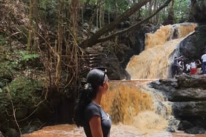 Nairobi: tour della foresta di Karura (in tedesco)