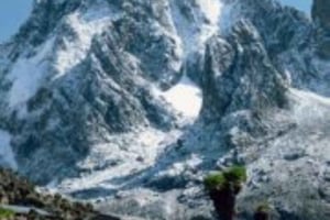 Nairobi: Mount Kenya -päiväretki lounaalla