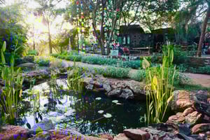 Nairobi: Nani Wonderland und Kitengela Glass Tour