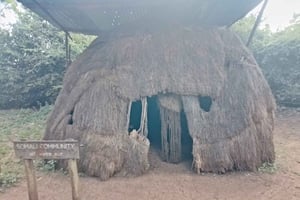 Nairobi: Nationalmuseum, Karen Blixen & Bomas-Tour