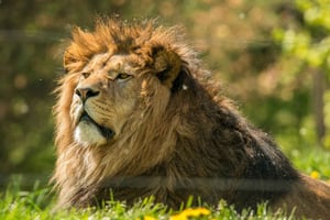 Nairobi: National Park, Elephant Orphanage & Giraffe Center