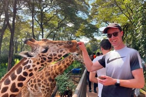 Nairobi: Nationalpark, giraffcenter och souvenirrundtur