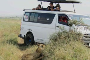 Национальный парк Найроби Полдня в сопровождении гида с пикапом
