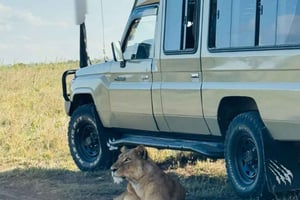 Nairobin kansallispuiston puolipäiväinen safarikierros