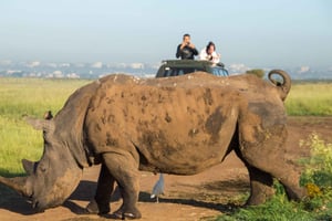 Nairobi National Park: with an open pop roof jeep