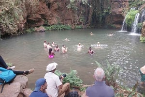 Nairobi : randonnée dans la forêt de Ngare Ndare et Canopy Walk