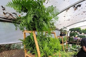 Nairobi: Ngong Road Flower Market Guided Tour