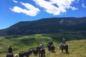 Nairobi: Paradise Lost – dagstur