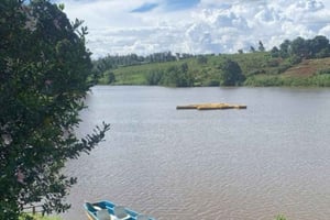 Nairobi: dagstur til det tapte paradis