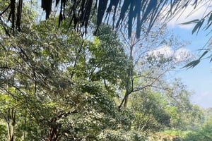 Nairobi : visite guidée des grottes et de la cascade Paradise Lost
