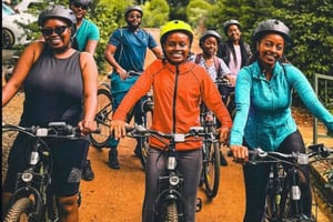 Parque Nacional de Nairobi: medio día en safari para ver leones y rinocerontes