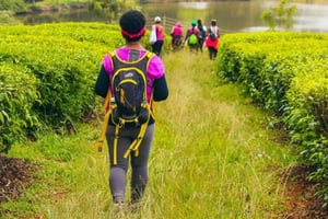 Nairobi: Tagestour zur Gatura Greens Purple Tea Farm