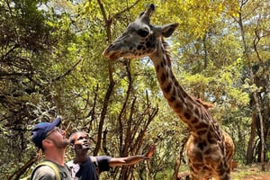 'Nairobis ultimatives Wildtier- und Kulturabenteuer