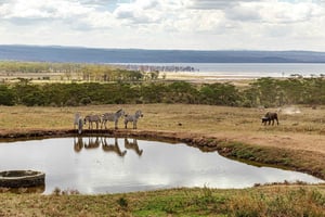 nakuru:private guided tour