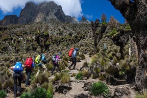 Nanyuki: 4-tägige Mount-Kenya-Wanderung mit Guide & Verpflegung
