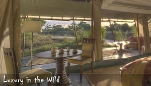 Ngerende Island Lodge