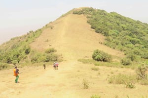 Dia inteiro de caminhada nas colinas de Ngong