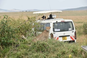 Safari de nuit en groupe à Amboseli à partir de Nairobi
