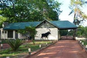 Übernacht-Safari von Mombasa zu den Shimba Hills