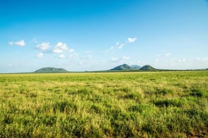 Yön yli kestävä safari Tsavo Eastiin Mombasasta käsin