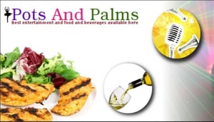 Pots and Palms - Riverside Drive