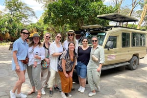 Visite privative : parc de Nairobi et orphelinat des éléphants en Jeep 4x4