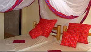 Red Elephant Safari Lodge