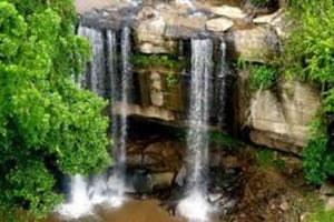 Shimba Hills: сафари, поход к водопаду и обед