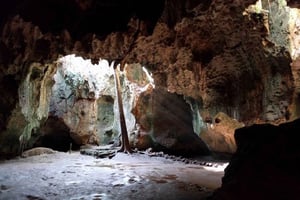 Shimoni-Cave of the Slaves Hike Guided Tour