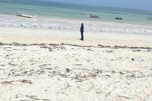 Shimoni: Orjien luolat, dhow-safari ja Wasinin saaren kierros