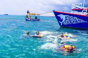 Blue Safari: Mergulho com snorkel no Watamu Marine Park e frutos do mar