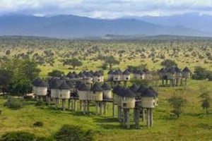 Taita Hills: begeleide wandeling door het nevelwoud met een lokale gids