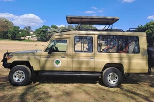 Tarangire, Serengeti y Ngorongoro: safari de 5 días