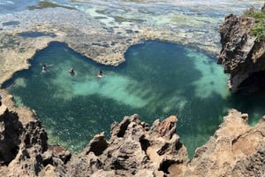 Tiwi Beach: Guidet tur til den afrikanske pool