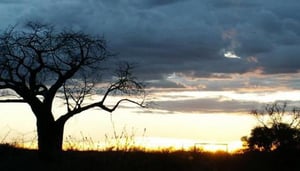 TSAVO EAST National Park