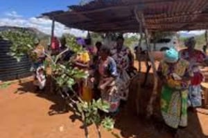 Tsavo: taller de cestería con artesanas