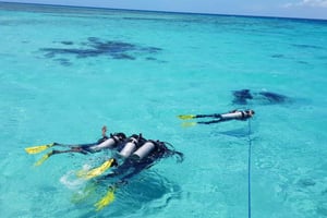 Wasini Excursion: Dolphin Trip & Snorkel at Kisite Mpunguti
